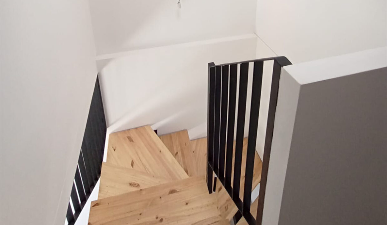 Vicuna_Escalera_real